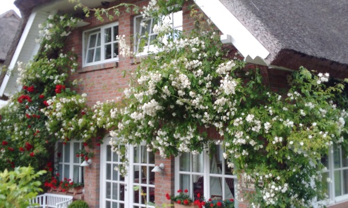 Pantow Maison | Exclusive 5-star vacation home under thatch - directly near Binz