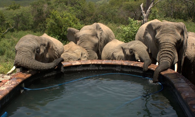 Rooiberg Cabine | Expérience africaine exclusive et étonnante dans la réserve de chasse privée