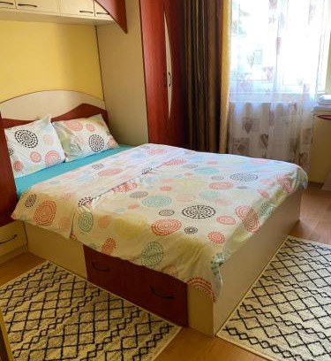 Baia Mare Appartement | Exclusive HORTENSIEI