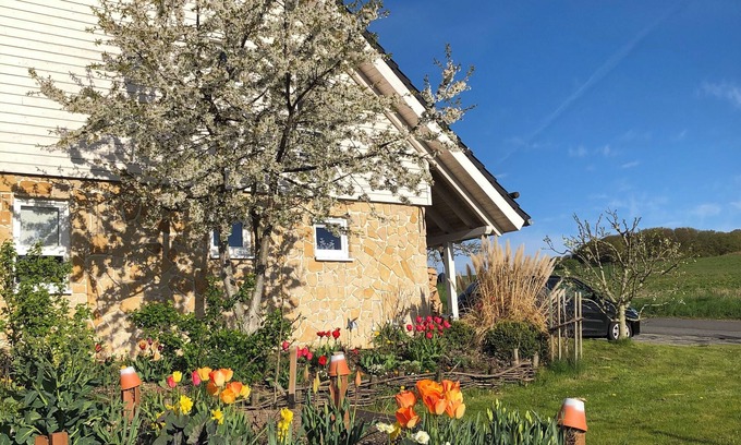 Volkmarsen Maison | Exclusif nouvelle maison de vacances avec beaucoup d'espace à Bad Arolsen / Twistesee