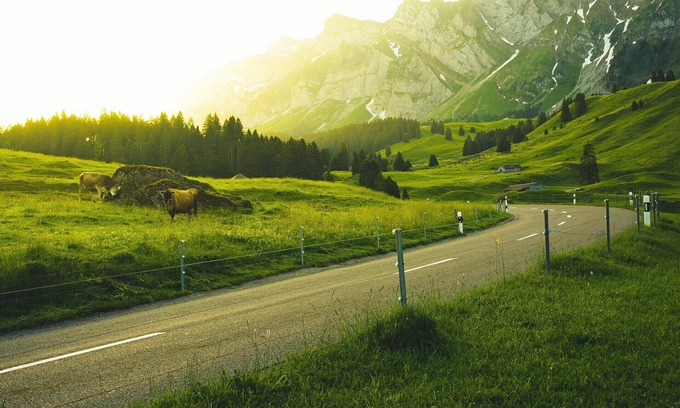 Newark Maison | Explore Silicon Valley from our room