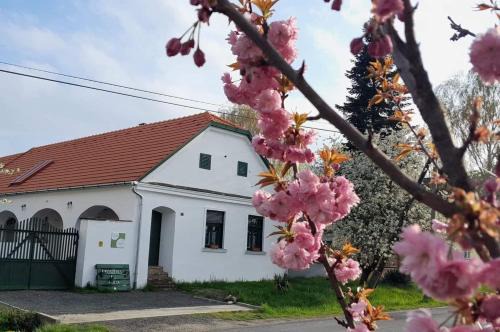 Mihalyfa Maison | Fűszeres Porta