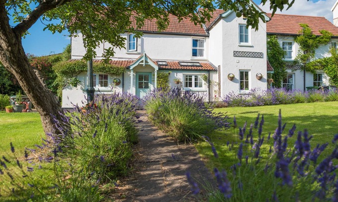 Braunton Maison | Very Large Maison près des plages de surf de North Devon