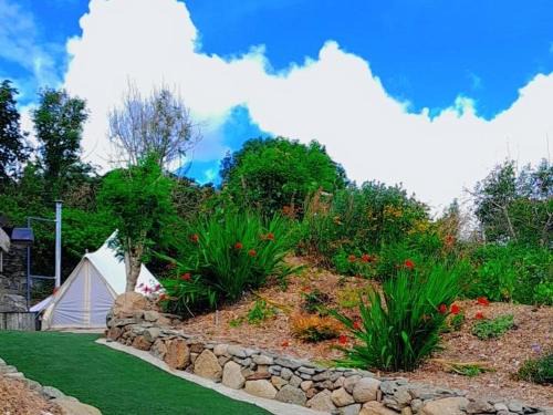 Carlingford Autre | Fairy Cove at Rosemount Glamping