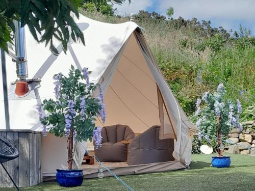 Carlingford Autre | Fairy Fort at Rosemount Glamping