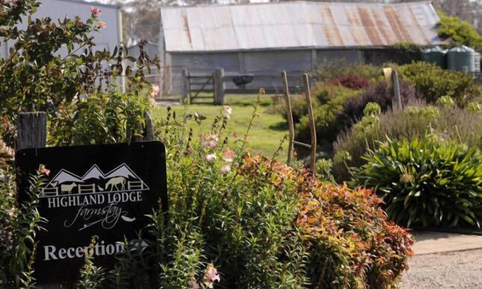 Hill Top Cabine | Highland Lodge Farmstay