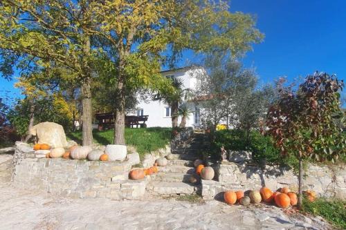 Buzet Maison | Family friendly house with a swimming pool Juradi, Central Istria - Sredisnja Istra - 24271