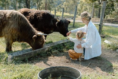 Kidaman Creek Maison | Family Fun On The Farm! Close to Kenilworth Stylish Feed Friendly Cows Breathtaking 360 Views