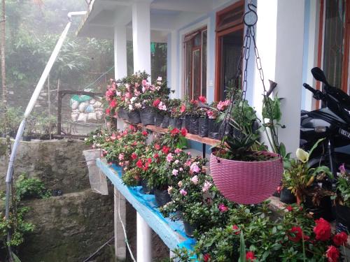 Turuk Maison | Family Holiday Homestay Kalimpong