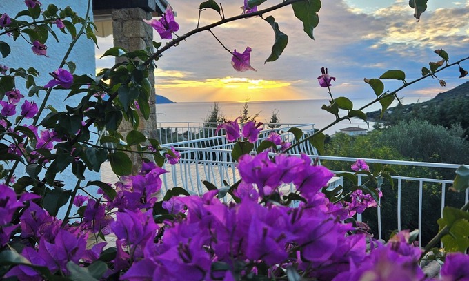 Casaglione Maison | Maison de famille