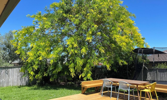 East Tamaki Maison | Family Retreat w/ Playground Views in East Tamaki
