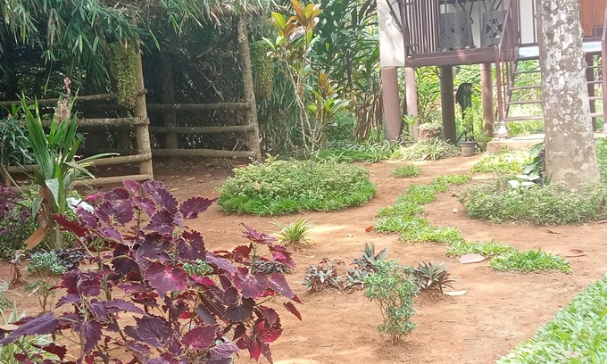 Vayittiri Villa | La villa familiale est un hébergement de style cabane
