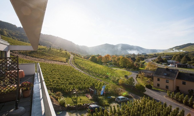 Senheim Appartement | Fantastique vue Mosel de l'appartement "Pinot Noir Cabinet", Cochem