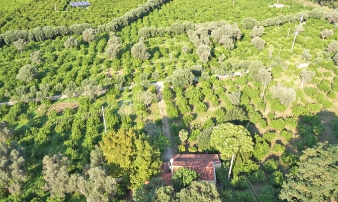 Mirto Autre | Vacances à la ferme avec piscine en Sicile, dans le parc des Nebrodi et près de la mer