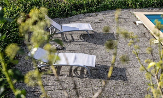 Travanca Maison | Farm In the middle of nature