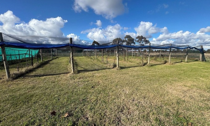 Diggers Rest Autre | Farm Stay, feed sheep and relax close to airport