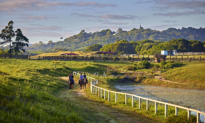 Kuranda Cabine | Farm Stay! Fun activities for the whole family-35 minutes from Cairns CBD