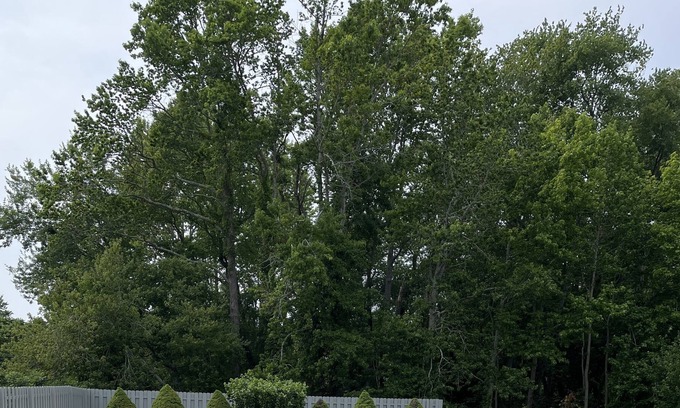 Green Creek Autre | Farmhouse, close to all Wildwood and Cape May Boardwalks. unlimited parking.