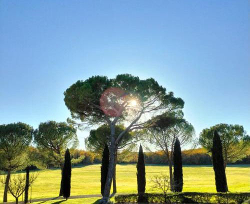 Colle di Val d'Elsa Maison | Fattoria Agriturismo Nerbona