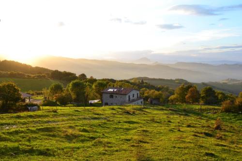 Montegrimano Maison | Fattoria Bio L'A Ceccoli
