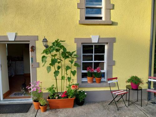 Kiltegan Lit Et Petit-Déjeuner | Felicity Cottage, W91 D1W3