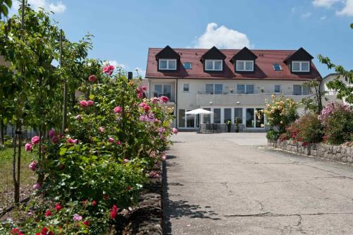 Sommerhausen Hôtel | Felshof - Weingut & Gästehaus