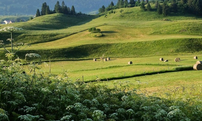 Saint-Pierre Appartement | Fenoula gîte dans une ancienne ferme du Haut-Jura près des lacs