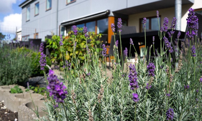 Thisted Municipality Appartement | Feriehus Thy