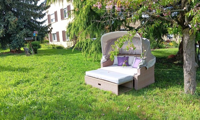 Ingersheim Autre | Ferien auf dem Winzerhof