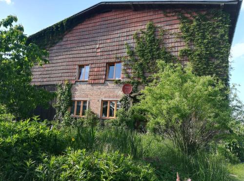 Dettmannsdorf Appartement | Ferien in der Scheune