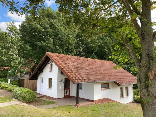 Marlow Maison | Ferienhäuser am Vogelpark - Boddenhaus 60