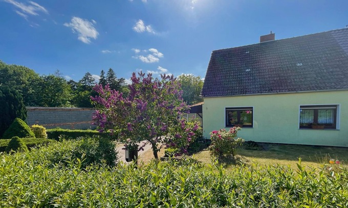 Muritz Maison | Ferienhaus Am Flachsee - Am Flachsee