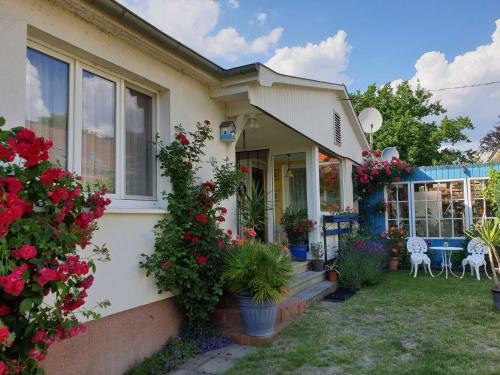 Krakow am See Maison | Ferienhaus am See