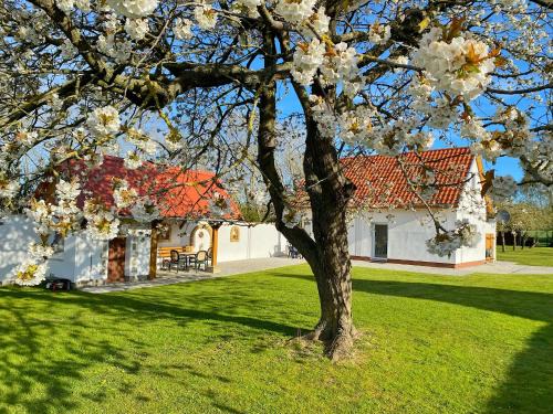 Sassnitz Maison | Ferienhaus Berta