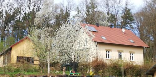 Bruck in der Oberpfalz Maison | Ferienhaus Rötzer - Forsthausschmankerl