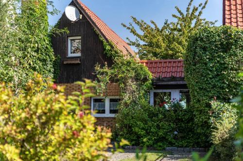 Blankenburg Maison | Ferienhaus Kornblume