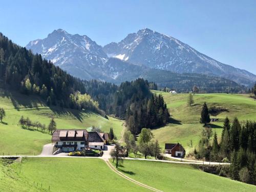 Spital am Pyhrn Appartement | Ferienhof Hintergrabenbauer