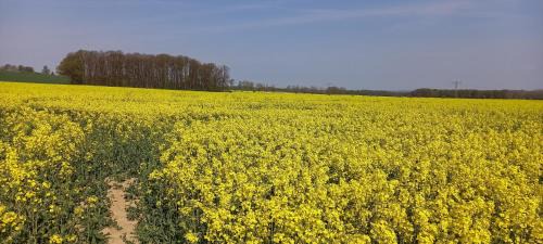 Loebau Appartement | Ferienhof mit Bergblick