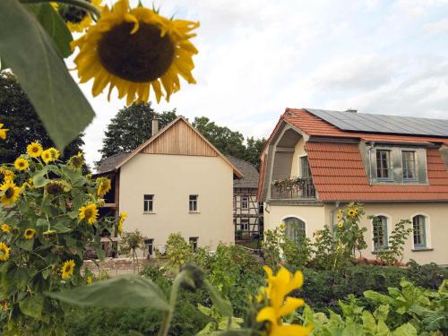 Unstruttal Appartement | Ferienhof NaturZeit