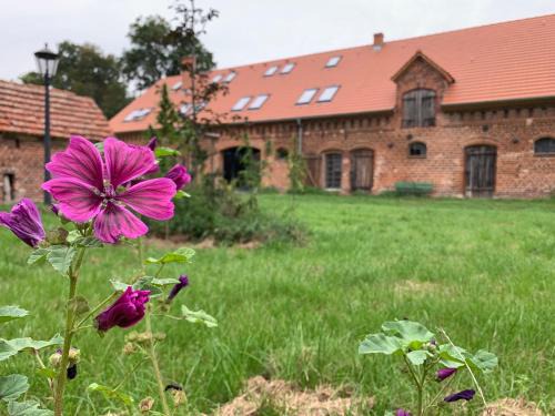 Letschin Appartement | Ferienhof Weitblick