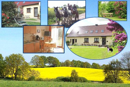 Frauenmark Appartement | Ferienhof Winther 1