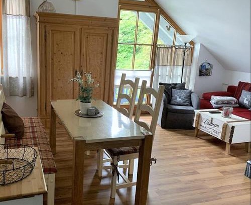 Schofweg Appartement | Ferienland Sonnenwald Fewo 46 und Studio 50 in Schöfweg Bayerischer Wald