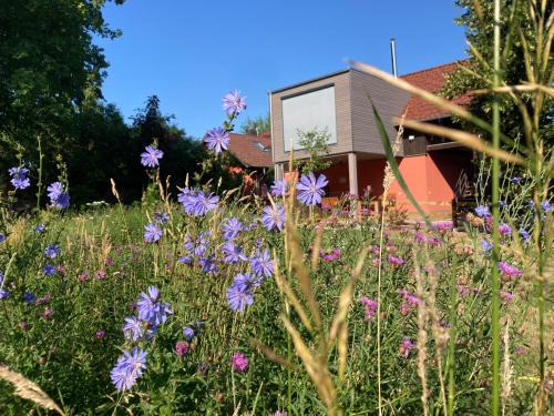 Straupitz Appartement | Ferienloft Libela Straupitz im Spreewald