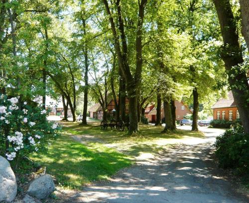 Marxen am Berge Appartement | Ferienpension Lindenhof - Ferienwohnungen in der Lüneburger Heide