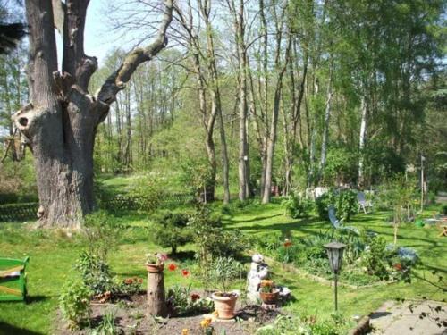 Muhl Rosin Appartement | Ferienwohnung Am Mühlbach
