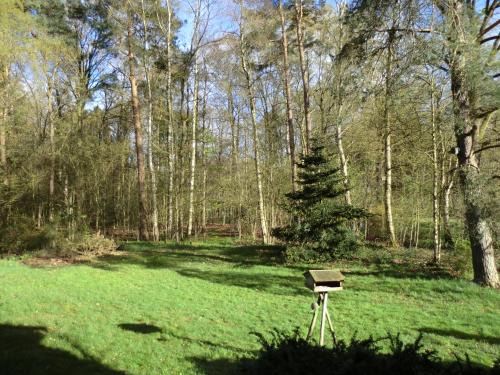 Reinsehlen Appartement | Ferienwohnung Bachforelle