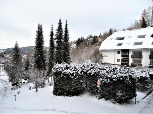 Triberg im Schwarzwald Appartement | Ferienwohnung Bergblick