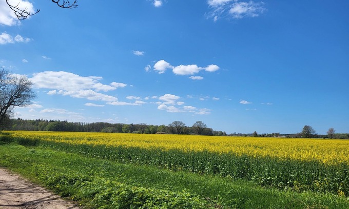 Ribnitz-Damgarten Copropriété | Ferienwohnung Nähe Ostsee