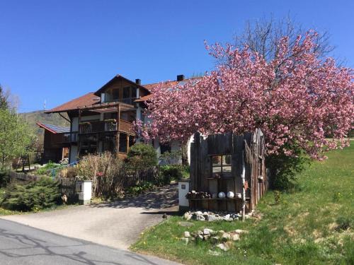 Rimbach Appartement | Ferienwohnung Gammer