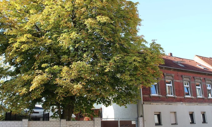 Dessau-Rosslau Appartement | Ferienwohnung Hütchen